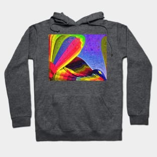 Balloon Collage Hoodie